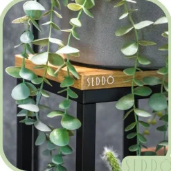 Flernivås stående blomställning för blommor och växter, industriellt rustikt 68