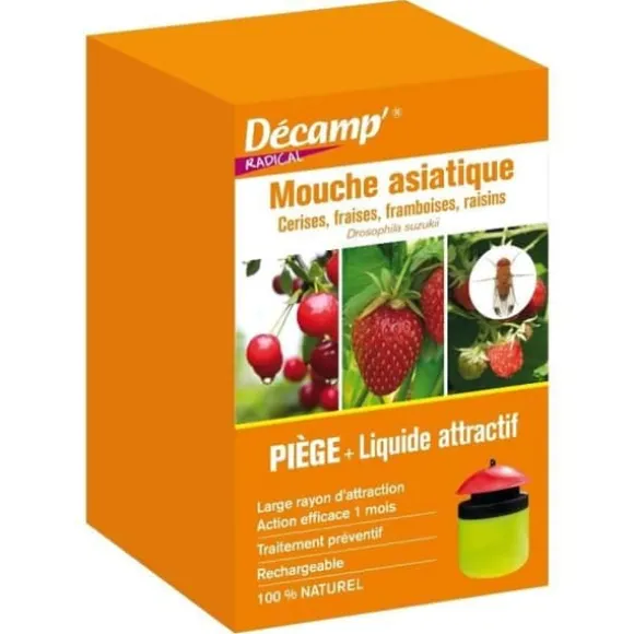 Fälla med lockmedel för suzuki asiatisk fluga