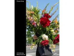 Flower Drop | Molly Haslund | Språk: Engelska