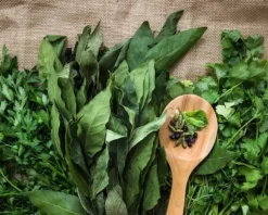 Färdigt Biovita örtjordssubstrat 10 l med gödselmedel