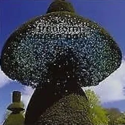 Freeform : Green Park CD Pre-Owned