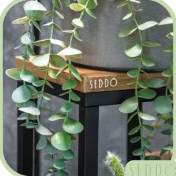 Fristående blomställning för blommor och växter, 4 nivåer, metall, rustik, 76 cm