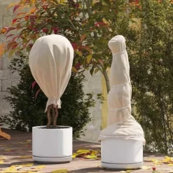 Frostskyddsöverdrag för växter - vidaXL - 20x1,6 m - Beige - Non-woven tyg - UV-beständig