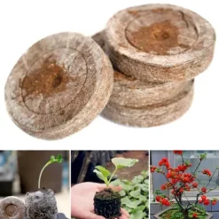 Fröstartare Jordpluggar Växtfiber Plantskola Block Torv Jordpellets