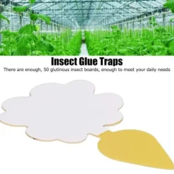 Fruktflugfällor - SHIPENOPHY - 50 stycken - svampmyggdödare - redo att användas