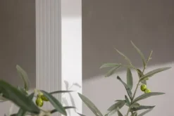 FURNLUX PERGOLA FÖR UTOMHUSBRUK LAZIO VIT 295CM