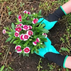 Garden Genie trädgårdshandskar - Garden Genie varumärke - Med ABS plastklor - Grön färg