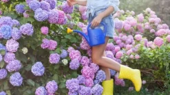 Garden Start Granulerad hortensia gödselmedel 2kg