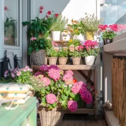 Garden Start Granulerad hortensia gödselmedel 2kg