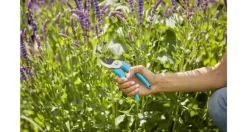 Gardena Classic beskärningssax