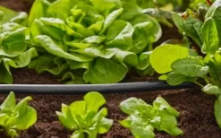 Gardena Micro droppsystem bevattningsrör 1/2