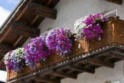 GÖDNINGSMEDEL FÖR BALKONGVÄXTER 0,75L AGRECOL