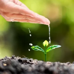 Gödsel för Rhododendron och Azaleor Trädgårdsstart 2kg