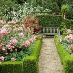 Gödsel för Rose Blommor Granulat Trädgård Start 2kg