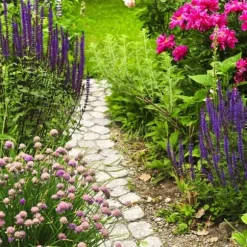 Gödsel för Syraälskande Blåbär Trädgård Start 5kg