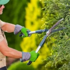 Gödsel för Thujas, Arborvitaes, Barrträd, Garden Start 2kg