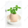 Ägg växter - TD - Miniatyrträdgård - ekologisk - Hantverk - Trädgårdsgåva