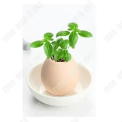 Ägg växter - TD - Miniatyrträdgård - ekologisk - Hantverk - Trädgårdsgåva