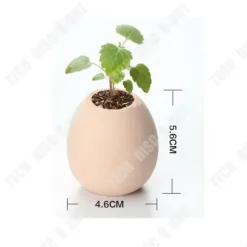 Ägg växter - TD - Miniatyrträdgård - ekologisk - Hantverk - Trädgårdsgåva