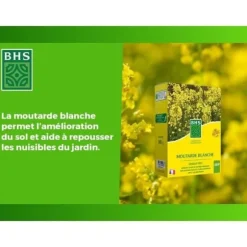 Gröna gödselmedel - BHS - Vit senap 500g | 100 m² | Förbättrar och desinficerar jordar för bättre fertilitet.