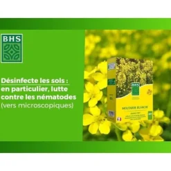 Gröna gödselmedel - BHS - Vit senap 500g | 100 m² | Förbättrar och desinficerar jordar för bättre fertilitet.