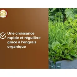 Grönsaksjord & Aromatiska växter - OR BRUN - OBRTARO6U - 6L - Snabb tillväxt