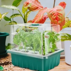 Groning sbrickor för plantor - Plantbrickor för plantor med fuktkupol