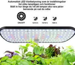 GrowHome PRO, Inomhusträdgård och odlingsset för örter med inbyggd LED växtbelysning & autovattningssystem, Ört Mini