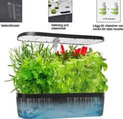 GrowHome PRO, Inomhusträdgård och odlingsset för örter med inbyggd LED växtbelysning & autovattningssystem, Ört Mini