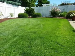 Gräsgödsel med mossgranulat Trädgårdsstart 5 kg