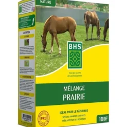 Gräsmatta - BHS - Ängsmix 1 kg | 40 m² | För stora ytor och betesmarker | Snabb att installera, hållbar, underhållsfri.