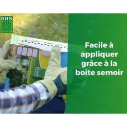 Gräsmatta - BHS - Seaside Lawn 10 kg | Resistent mot vind, torka och salt | Vacker, attraktiv och robust sommargräsmatta.