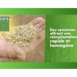 Gräsmatta - BHS - Återväxtmedel för gräsmatta 5 kg