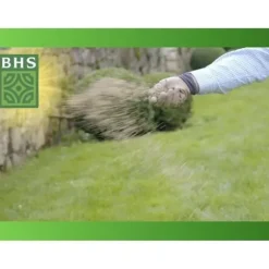 Gräsmatta - BHS - Återväxtmedel för gräsmatta 5 kg