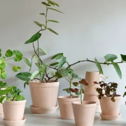 Helena Kruka Quartz Rose, Ø 14cm -