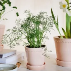 Helena Kruka Quartz Rose, Ø 14cm -