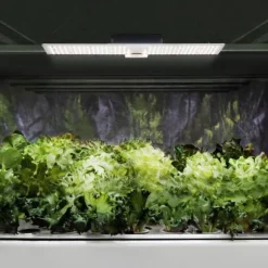 hillvert - Odlingslampa - Fullspektrum - 2,000 W - 468 LED - 20 000 Lumen