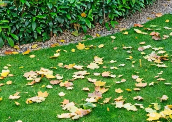 Höstgödsel för gräsmattor Emerald Complex 8 kg