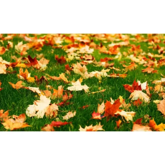 Höstgödsel för gräsmattor Emerald Complex 8 kg