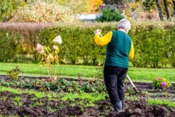 Höstgödsel för syraälskande växter GardenStart 5kg
