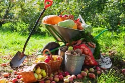 Höstgödsel Universal Granula Garden Start 10kg