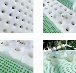 Hydroponiskt Odlingskit - Hydroponiskt System - PVC, 2 Nivåer, 72 Hål, För Sticklingar & Fröer, Inomhusodling - Vit