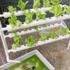 Hydroponiskt odlingssystem - Inomhus odlingskit - 36 odlingsplatser - 2 nivåer - För örter och grönsaker - Vit