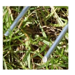 INF 100 st U-formade förankringspinnar för trädgård Silver