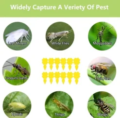 INF Klibbig fälla för skadeinsekter på krukväxter Flugfångare 12-pack