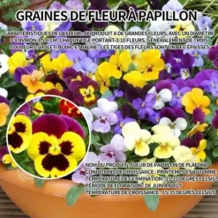 INN Butterfly Flower Seeds 1000 Blomsterfrön Blomningstid 6-8 månader Blomfrön Prydnadsblommor Blomfrö