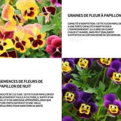 INN Butterfly Flower Seeds 1000 Blomsterfrön Blomningstid 6-8 månader Blomfrön Prydnadsblommor Blomfrö