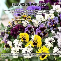 INN Butterfly Flower Seeds 1000 Blomsterfrön Blomningstid 6-8 månader Blomfrön Prydnadsblommor Blomfrö