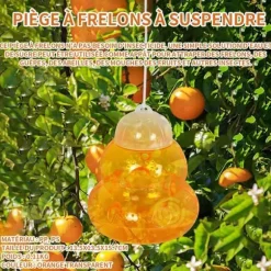 INN Getingfälla Asiatisk bålgetingsfälla avtagbar och återanvändbar bålgetingsfälla hänga utan bete fruktfällor transparent oran