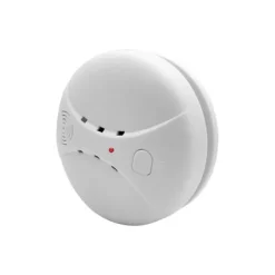 INN Hårutlätningsborste 2-i-1 våt och torr användning Tre nivåer Temperaturjustering Hårlätande kam Silver